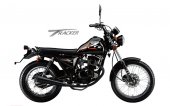 2013 Qingqi Tracker QM125GY-2D photo